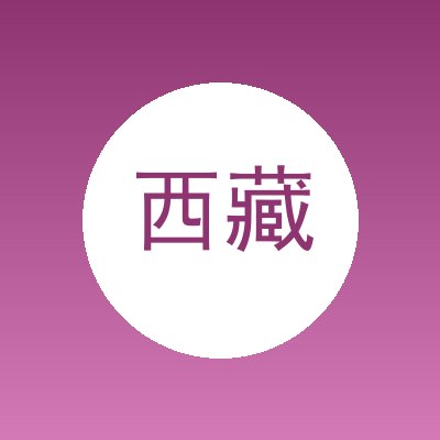 西藏巨丰钢结构工程有限公司