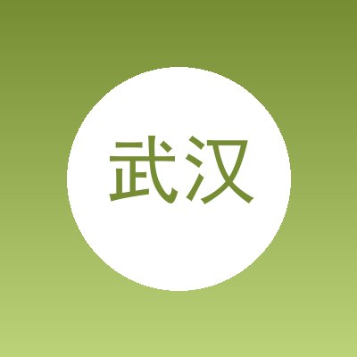 武汉洁诚市政工程有限公司