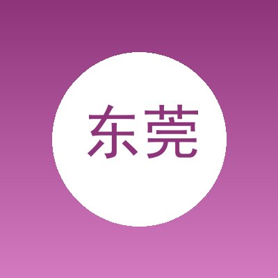 东莞恒锌网络